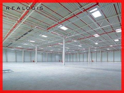 Hünxe Halle, Hünxe Hallenfläche