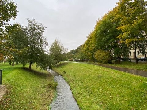 Reichenbach im Vogtland Wohnungen, Reichenbach im Vogtland Wohnung kaufen