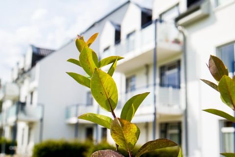 Boltenhagen Wohnungen, Boltenhagen Wohnung kaufen