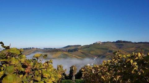 Durbach Grundstücke, Durbach Grundstück kaufen