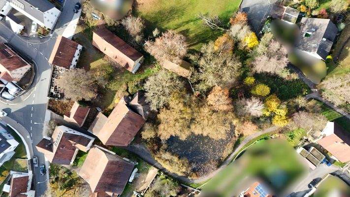 0009 - bearbeitet.jpg