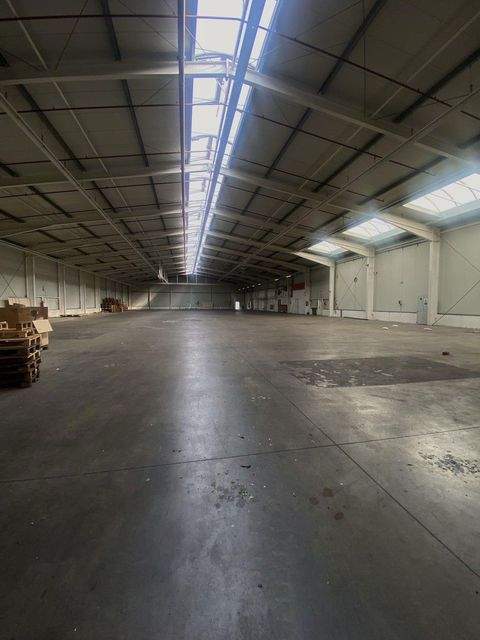 Hörstel Halle, Hörstel Hallenfläche