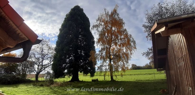 Das Anwesen für Pferdefreunde