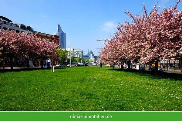 Umgebung - Grassimuseum