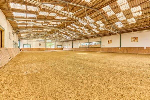 06 Reithalle 20 x 40 Meter.jpg