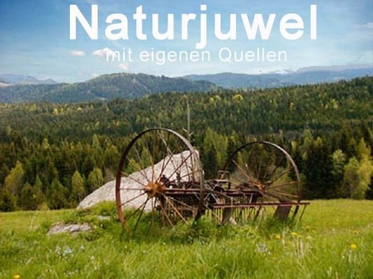 Naturjuwel