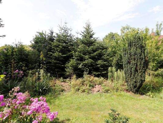 bepflanzter hinterer Teil des Grundstücks