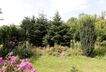 bepflanzter hinterer Teil des Grundstücks