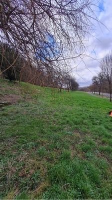 Landwirtschaftliches Grundstück