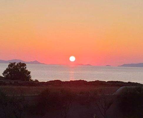 3WhatsApp Image 2025-06-14 at 12.42.11.jpeg