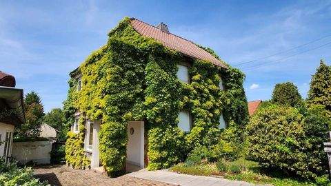 Regis-Breitingen Häuser, Regis-Breitingen Haus kaufen