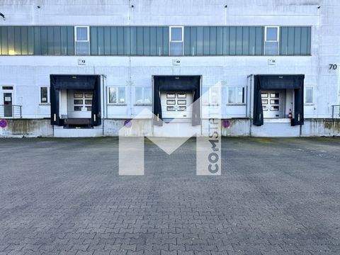 Witten Halle, Witten Hallenfläche