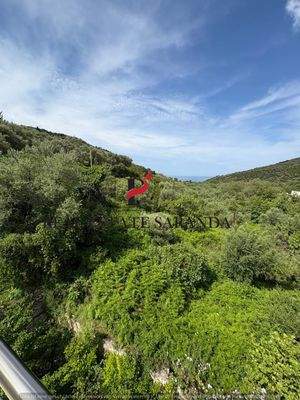 WhatsApp Image 2025-05-11 at 10.27.33-18.jpeg