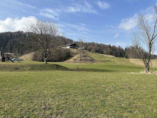 Weitere Impressionen vom Grundstück