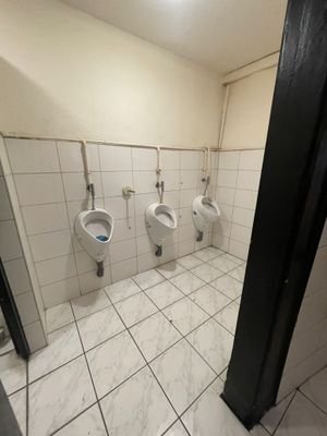 Gäste-WC 2