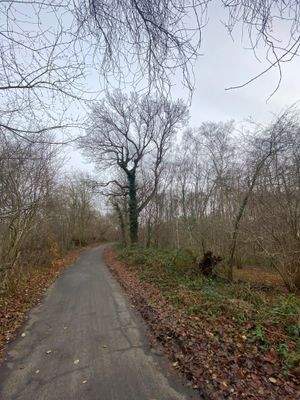 an der nördlichen Grenze .jpg