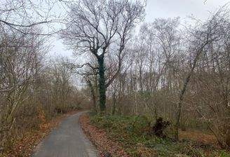 an der nördlichen Grenze .jpg