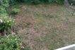 Garten auf Südseite