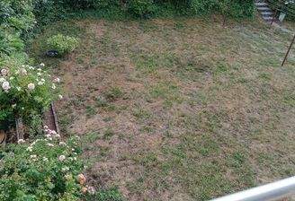 Garten auf Südseite
