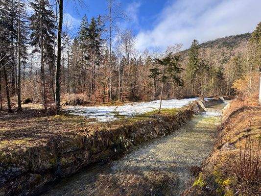 Bachlauf nach Südgrenze