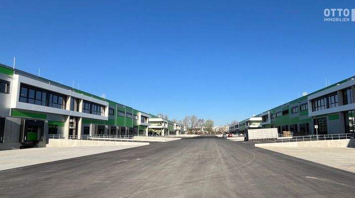 20250404_1220_MLP_WVP_ (10)