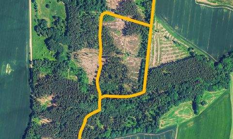 Königshain Bauernhöfe, Landwirtschaft, Königshain Forstwirtschaft