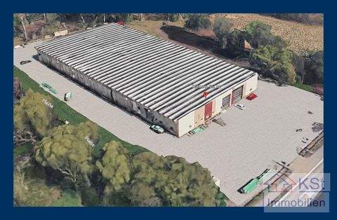 Rötha Halle, Rötha Hallenfläche