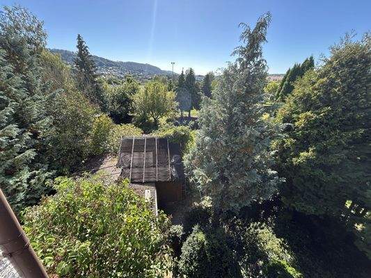 Blick aufs Grundstück - Richtung Sportplatz Mengersgereuth-Hämmern