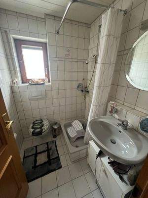 Gäste-WC mit Dusche EG