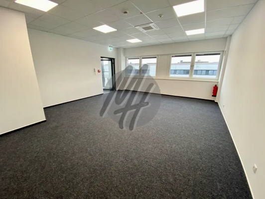 INFOS UNTER: 06171-586000