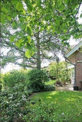 Garten mit Busch- und Baumbestand