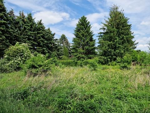 Grafenwörth Grundstücke, Grafenwörth Grundstück kaufen