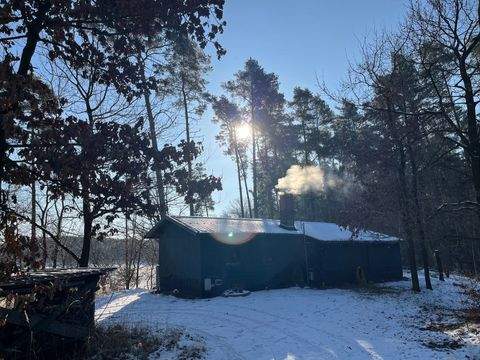 Bad Schmiedeberg Häuser, Bad Schmiedeberg Haus kaufen