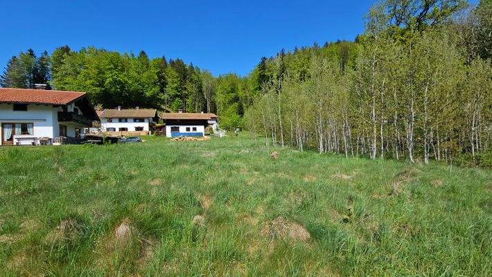 Grundstück Richtung Norden