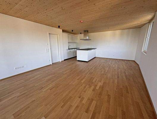 Wohn-Koch-Essbereich