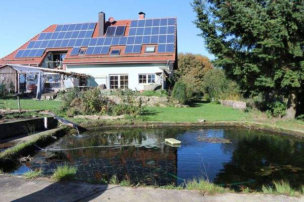 fließendes Gewässer und Seerosen