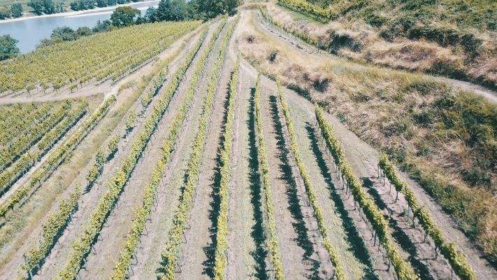 Blick Richtung Osten