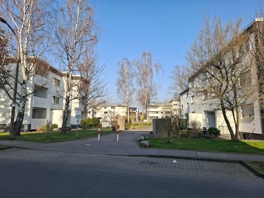 20250310_154316.jpg