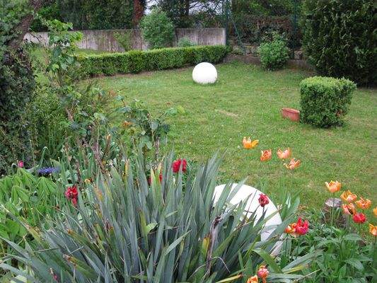 Lichtenfels, Hindenburgstr. 8, Alk ,April 2019 Garten.JPG