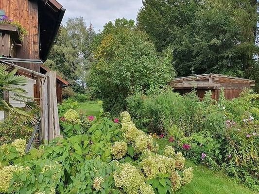 Gartenfläche 