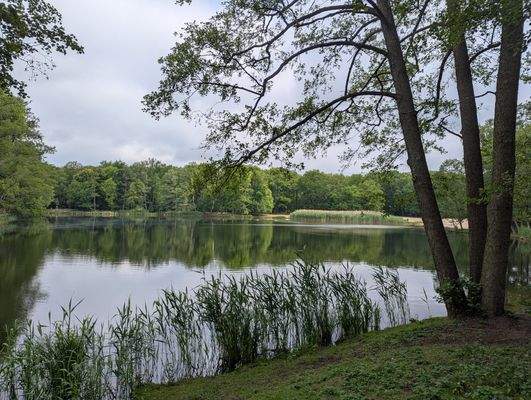 Erholung Volkspark Jungfernheide.jpg