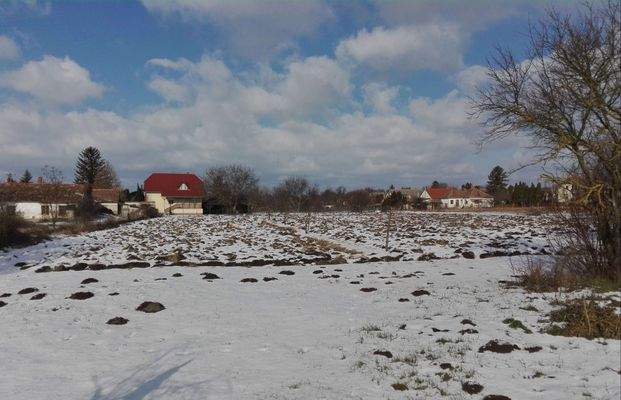 IMG_20190111_111439 (1) (1).jpg