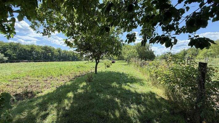 att.ZtZG5WYKDIJ70UX-LBYYNsHETiuh4lyRIA_HR1ExM5M.JP