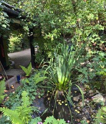 Garten und Zugang Garagen