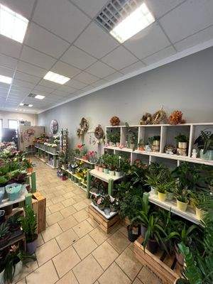 Verkaufsfläche (4).jpg