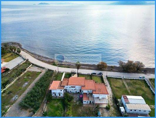 90f8ef5e1b4f439abc0722411393164a-original