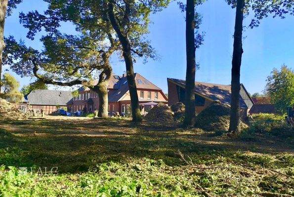 Garten mit Baumbestand