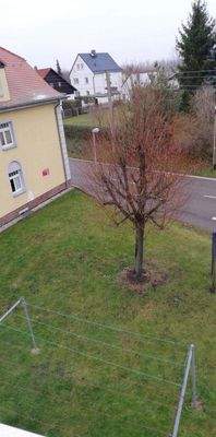 WhatsApp Image 2023-12-07 at 10.04.55.jpeg