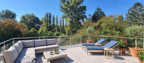 Mistelbach Wohnungen, Mistelbach Wohnung kaufen