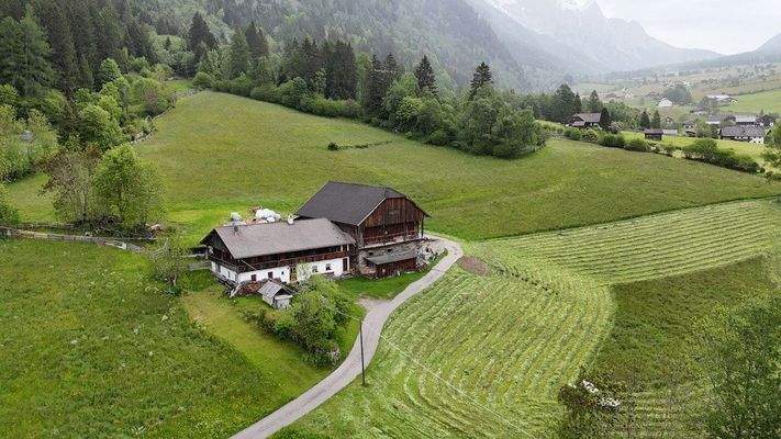 Hof_Antholz_Wald_Alpenwiese_ruhig_Natur_Dolomiten_Südtirol